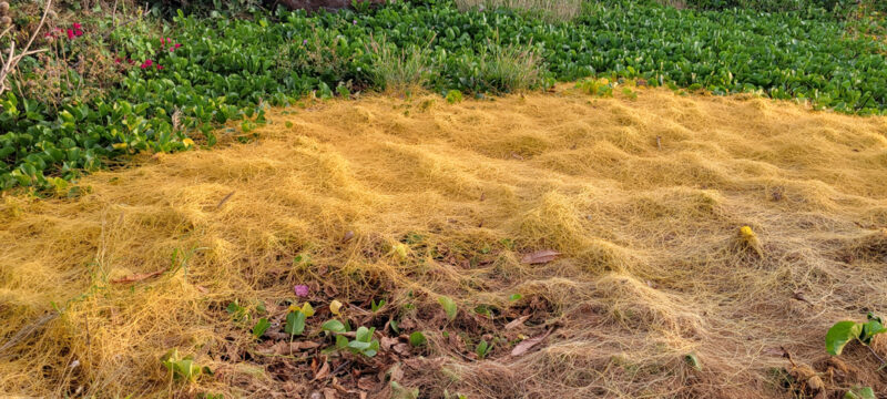 Send your best photos from Maui County to mauiphotos@mauinews.com for a chance to see them featured on our website and in our weekly print edition.